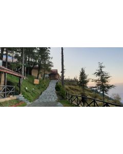 Amod Dalhousie-Camping Night out-5 Pm to 9 Am