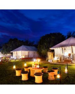Home of the Wild Ranthambore